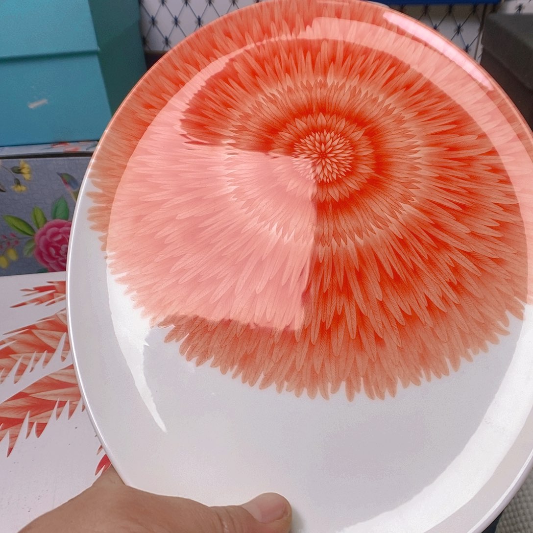 瓷片开播时间每周日