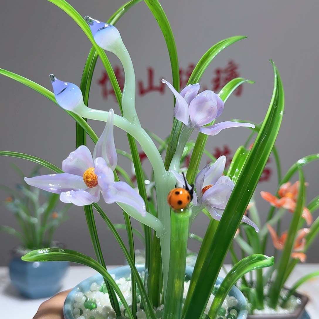 琉璃琉璃兰花1111