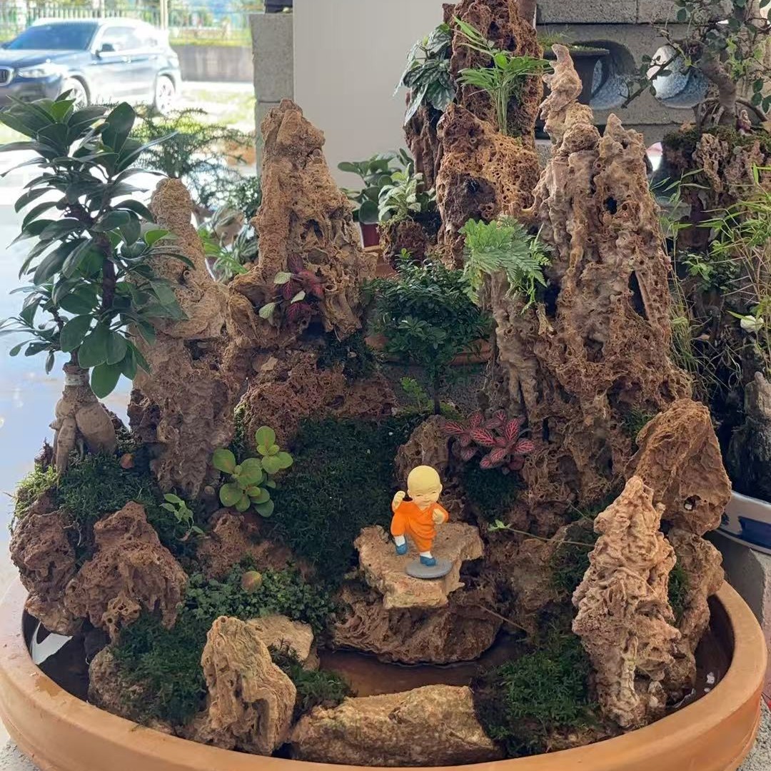 天然吸水石上水石假山直播间选款专用