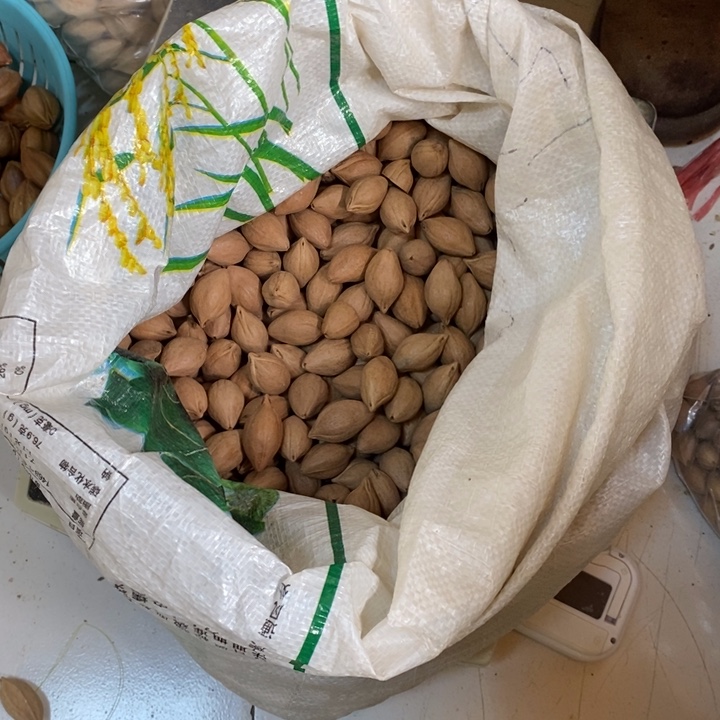 吊坠橄榄核火*我們都