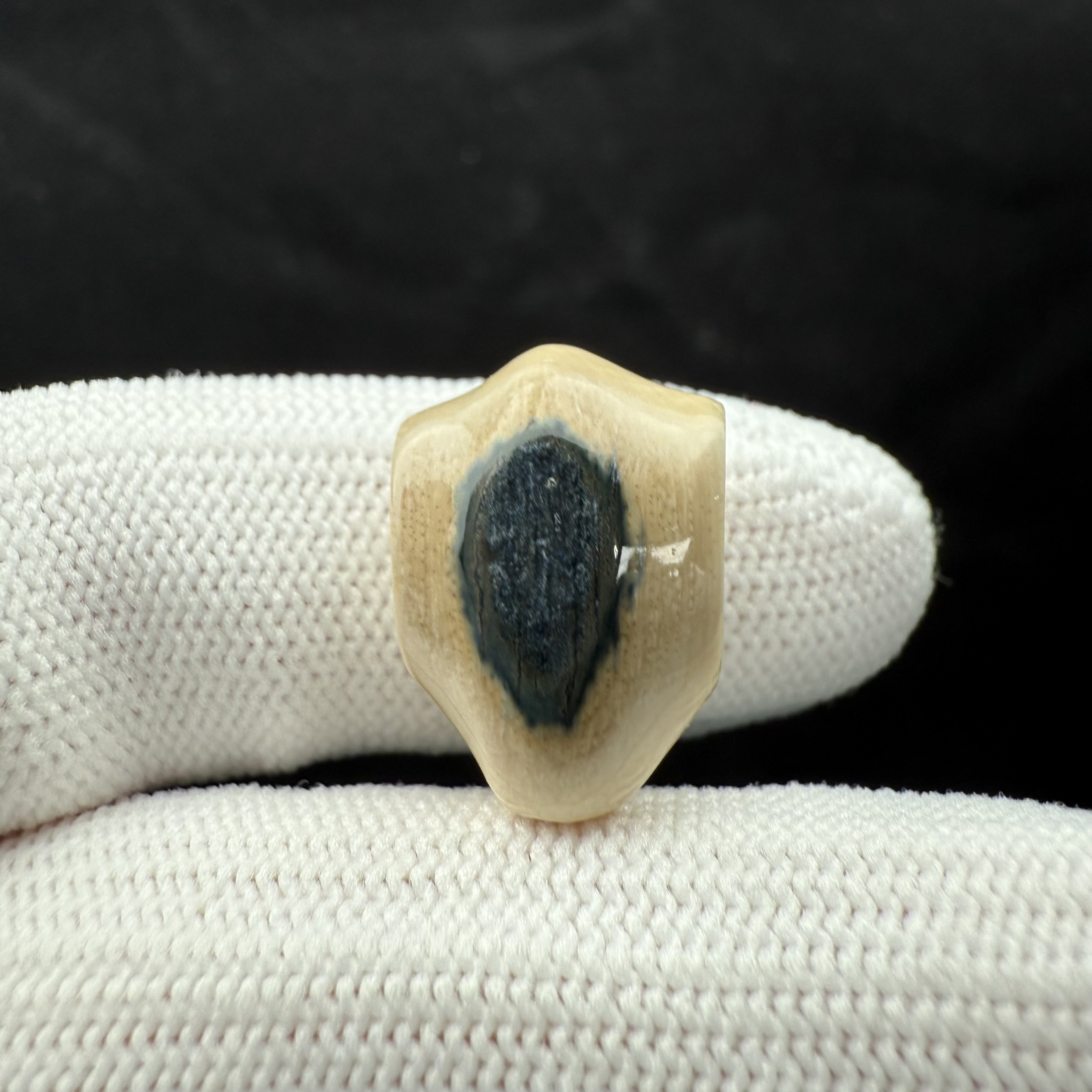 K2367 天然猛犸 蓝眼睛三通 12.3*17.5mm 一物一图假一罚十