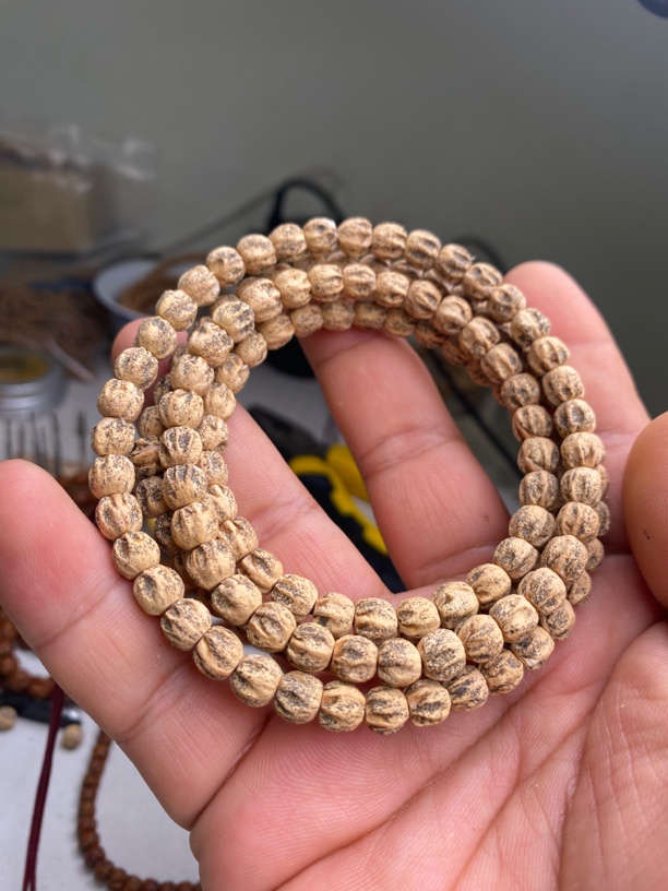 热振柏香籽 方块