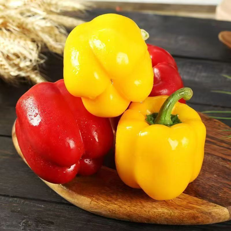  【红黄双色彩椒】山东寿光新鲜现摘彩椒 2/3斤 S