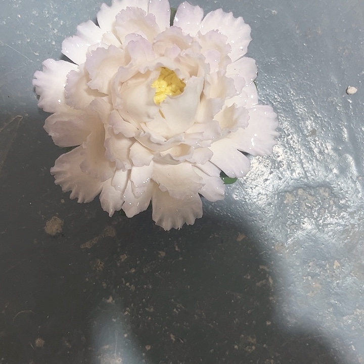 微瑕，不 退不换，介意勿拍，退换拉黑