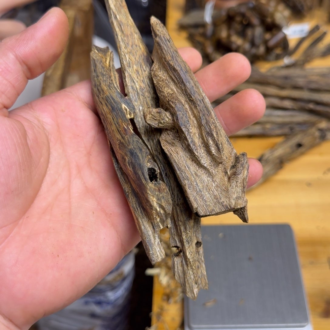 沉香沉香碎屑白棋虫漏块料51 