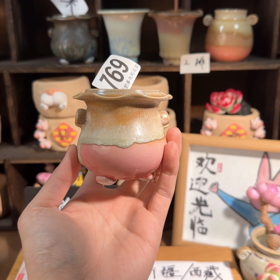 769。内口4.5  非偏远两单包邮