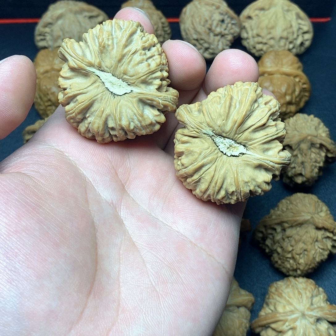 文玩核桃把件凹底卡姿兰43白狮子