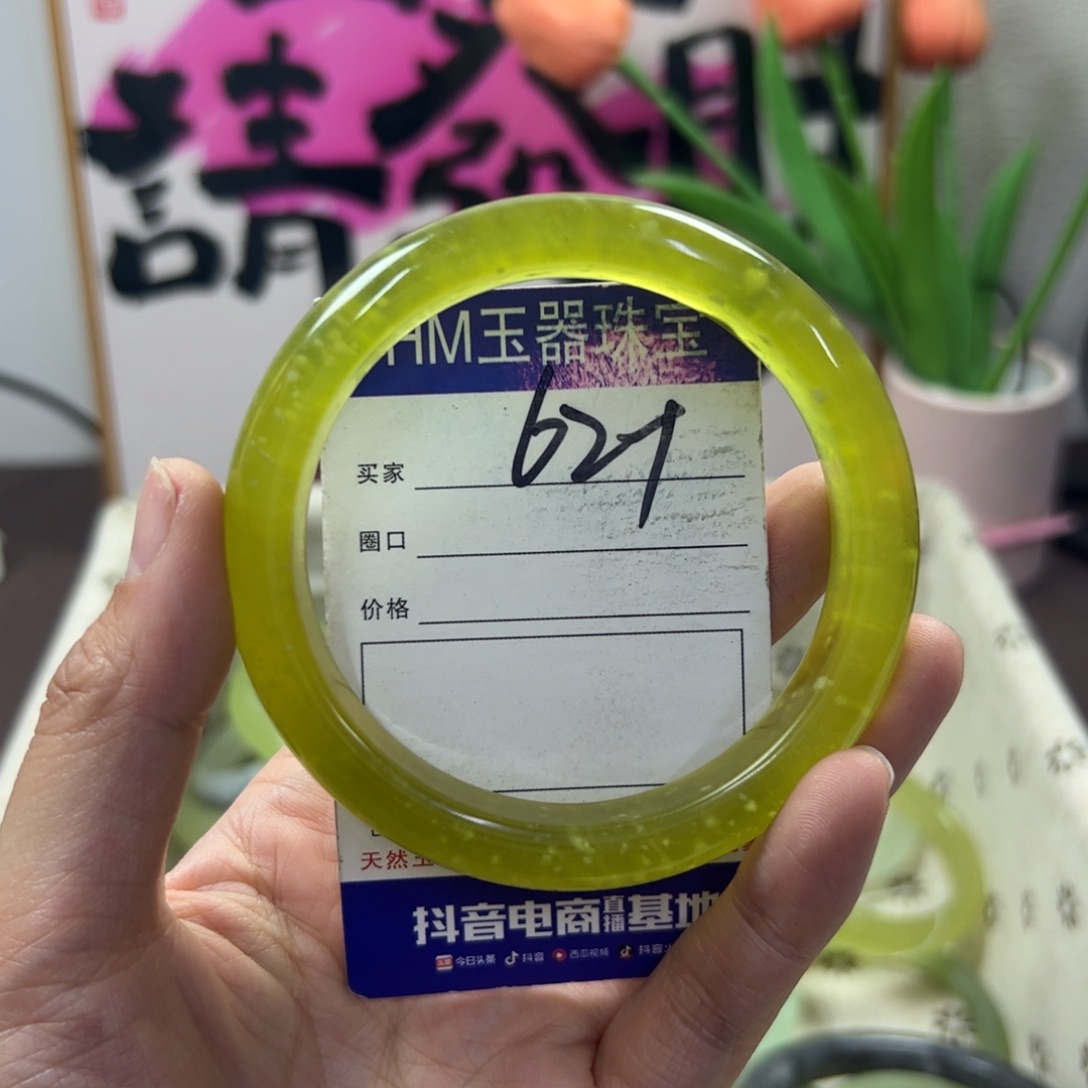 蛇纹石玉手镯未镶嵌211