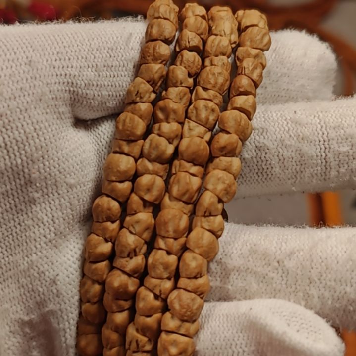 柏香籽/百香籽吊坠大肠