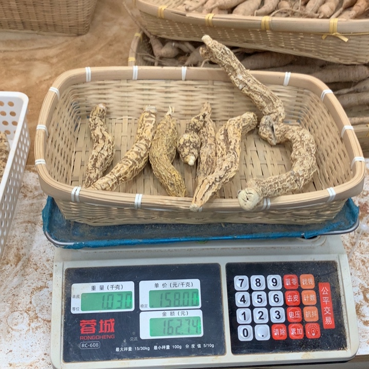 用***6中国大陆干货野牛牛