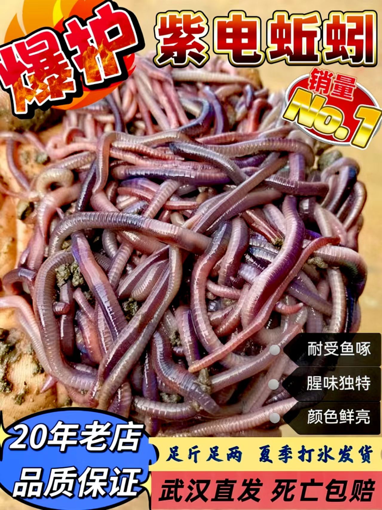 【京东包邮】鲜活紫电蚯蚓活饵下黄鳝翘嘴黑坑饵料现挖现发武汉发货