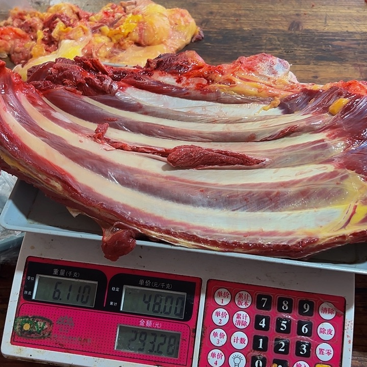 广西土耕马马肉中国大陆