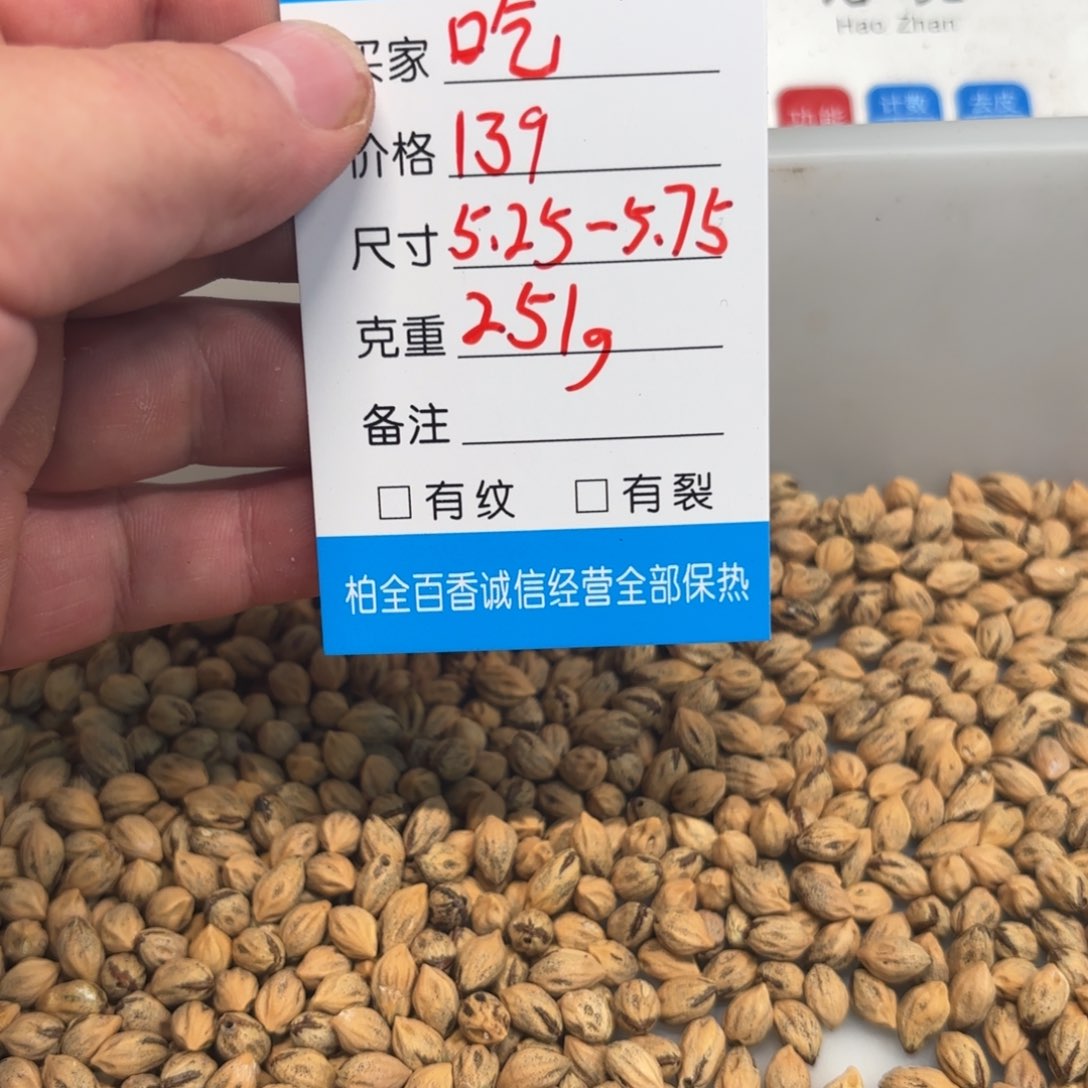 吃***不柏香籽散子 251 克散子