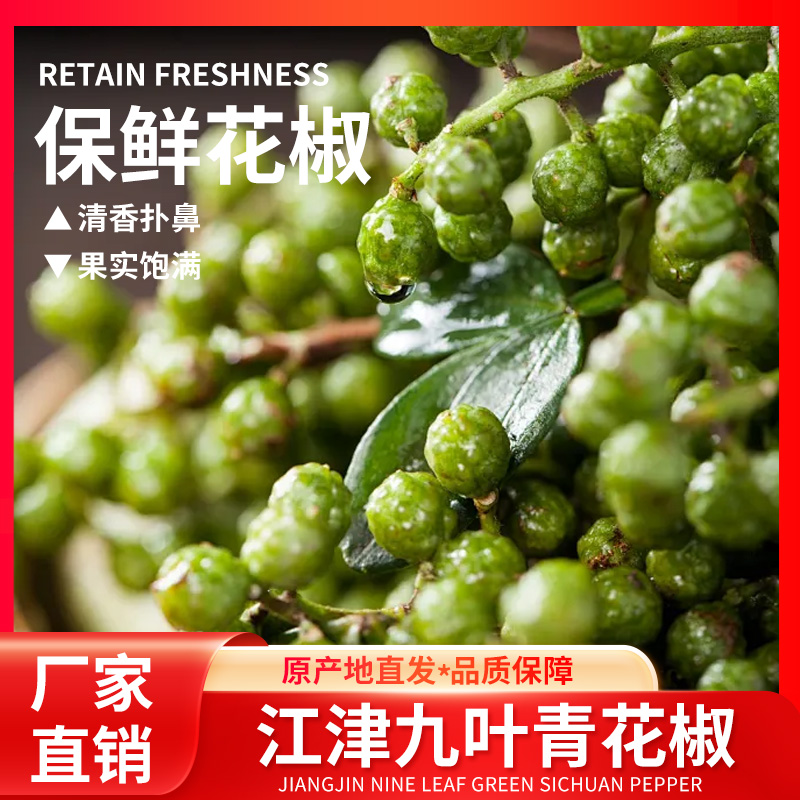 炊夫重庆江津九叶青花椒保鲜花椒鲜麻椒浓香烹饪增麻增香