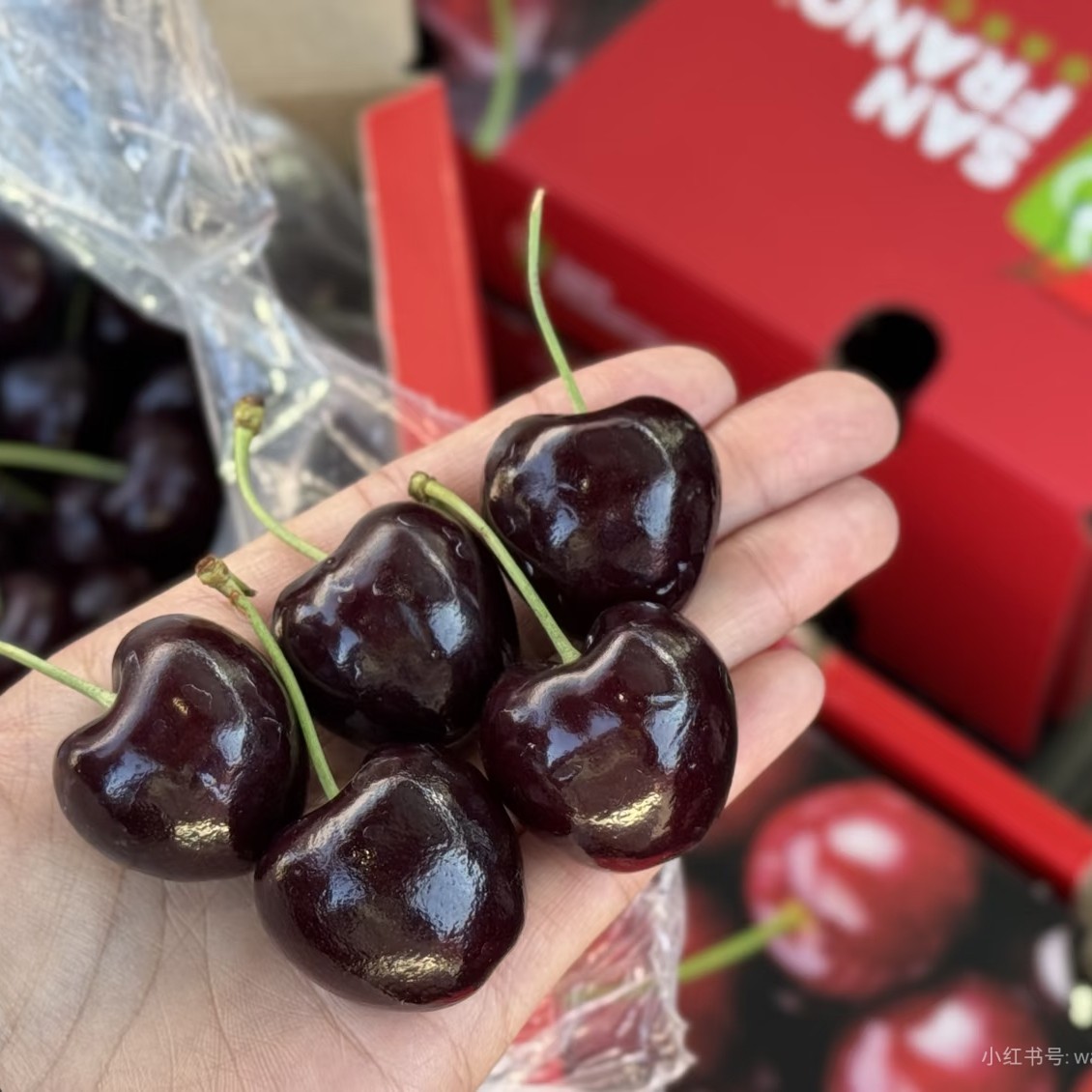 4J级吉制车厘子空运（一箱）5斤