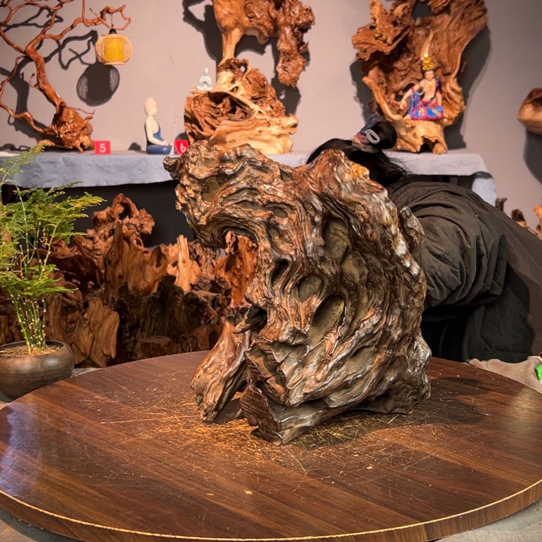 用***4香杉木:::::44555556