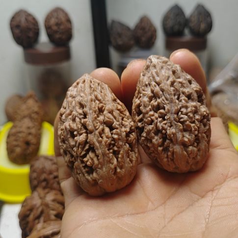 文玩核桃把件典**止老树蚂蚁棍儿