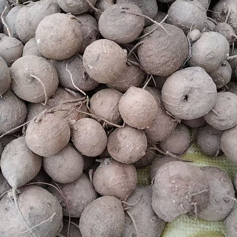 《殷康韵山货》非种植鲜洋芋 土栾儿 金线吊葫芦 炖汤滋补食材