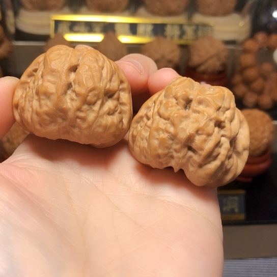 精品水晶皮蛤蟆头