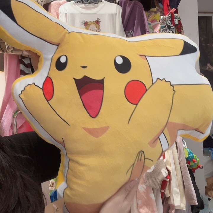 特价不退不换，抱枕