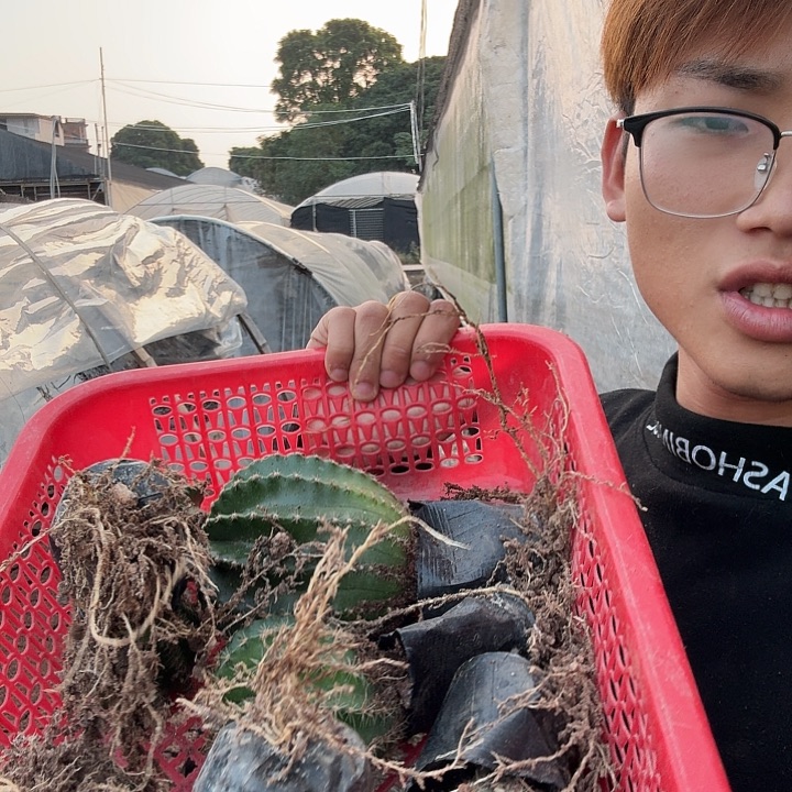 ****无花朵彩草哈哈哈哈哈哈哈哈