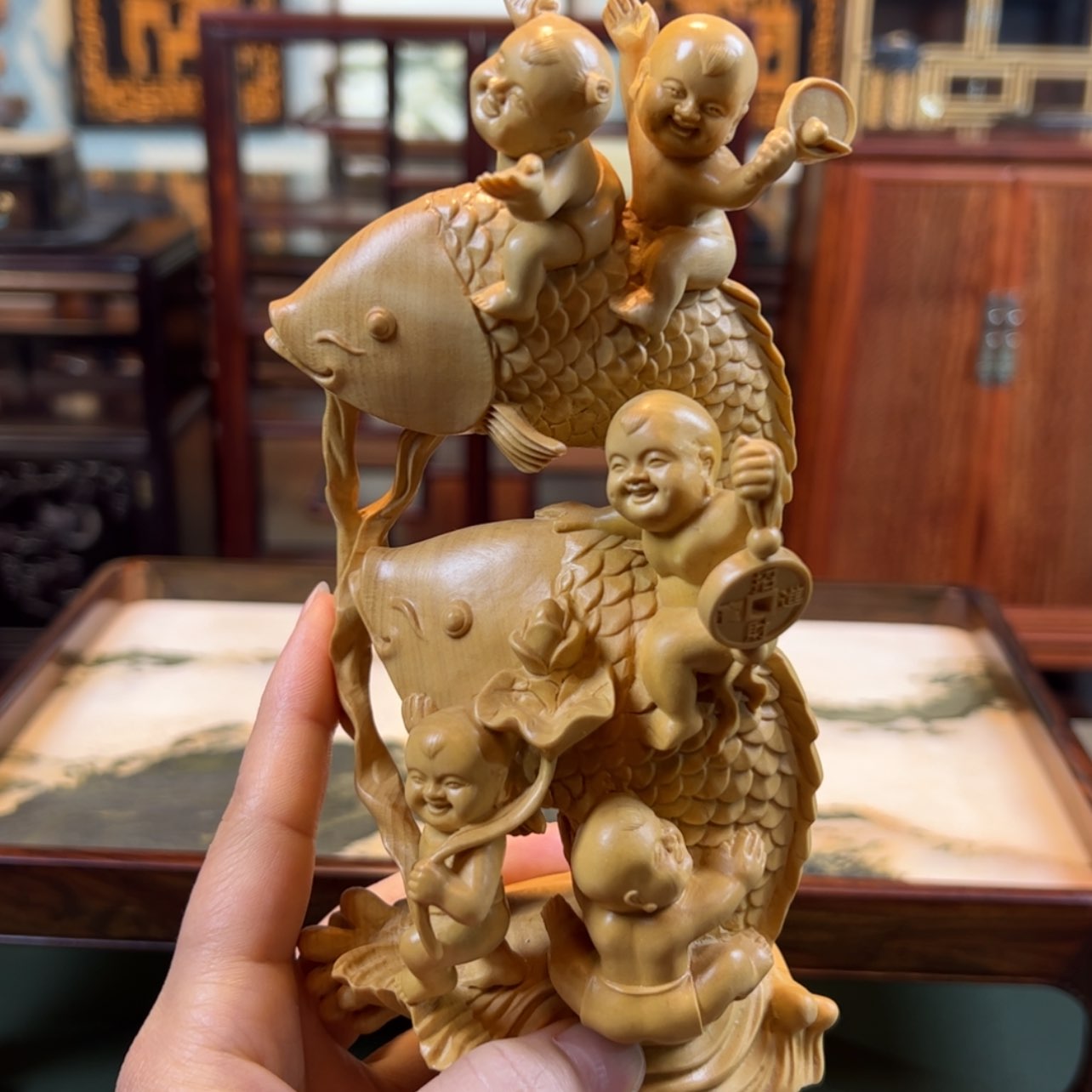 【闪购商品】黄杨木其他黄杨木