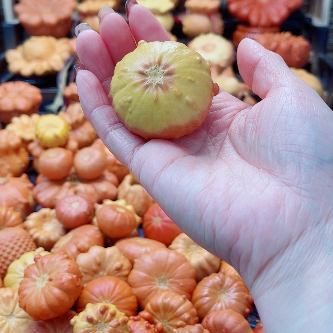 咘****大叶紫檀（黑酸枝木类）