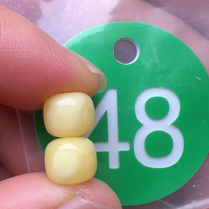 蜜蜡裸石未镶嵌8m m