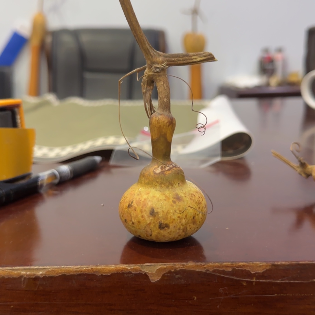 葫芦来乐乐咯乐乐咯来咯哦