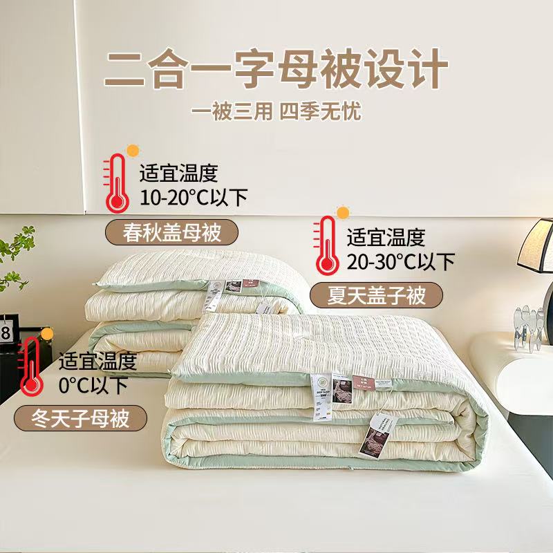 二合一子母被四季款被子春秋被加厚冬被学生宿舍被芯单人加厚保暖