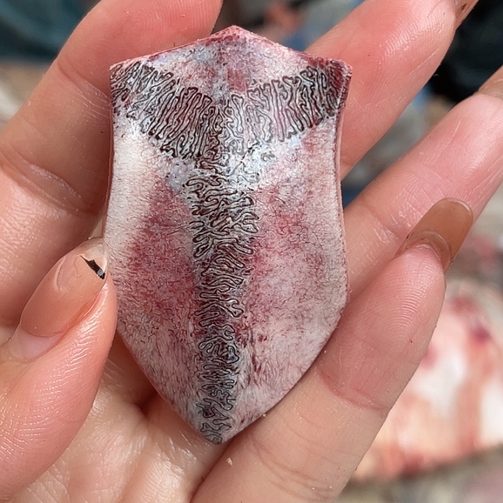 养殖鹿骨三界牌子