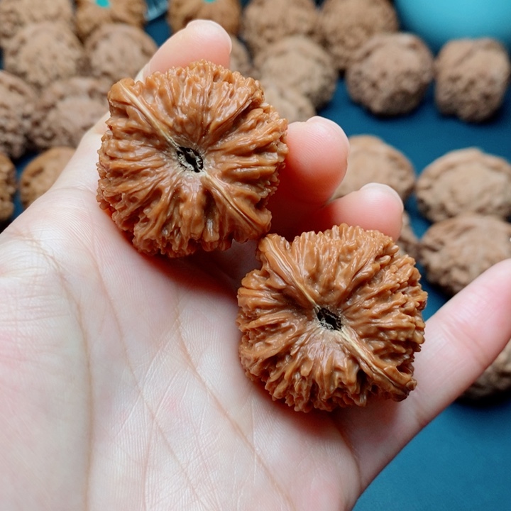 文玩核桃把件137狮子头38全品