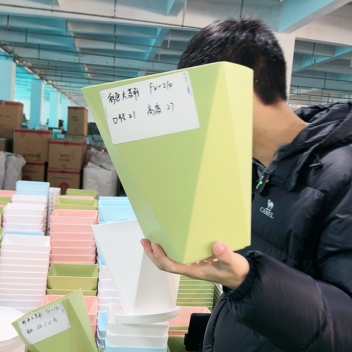 fv210口21高27果绿带托4只