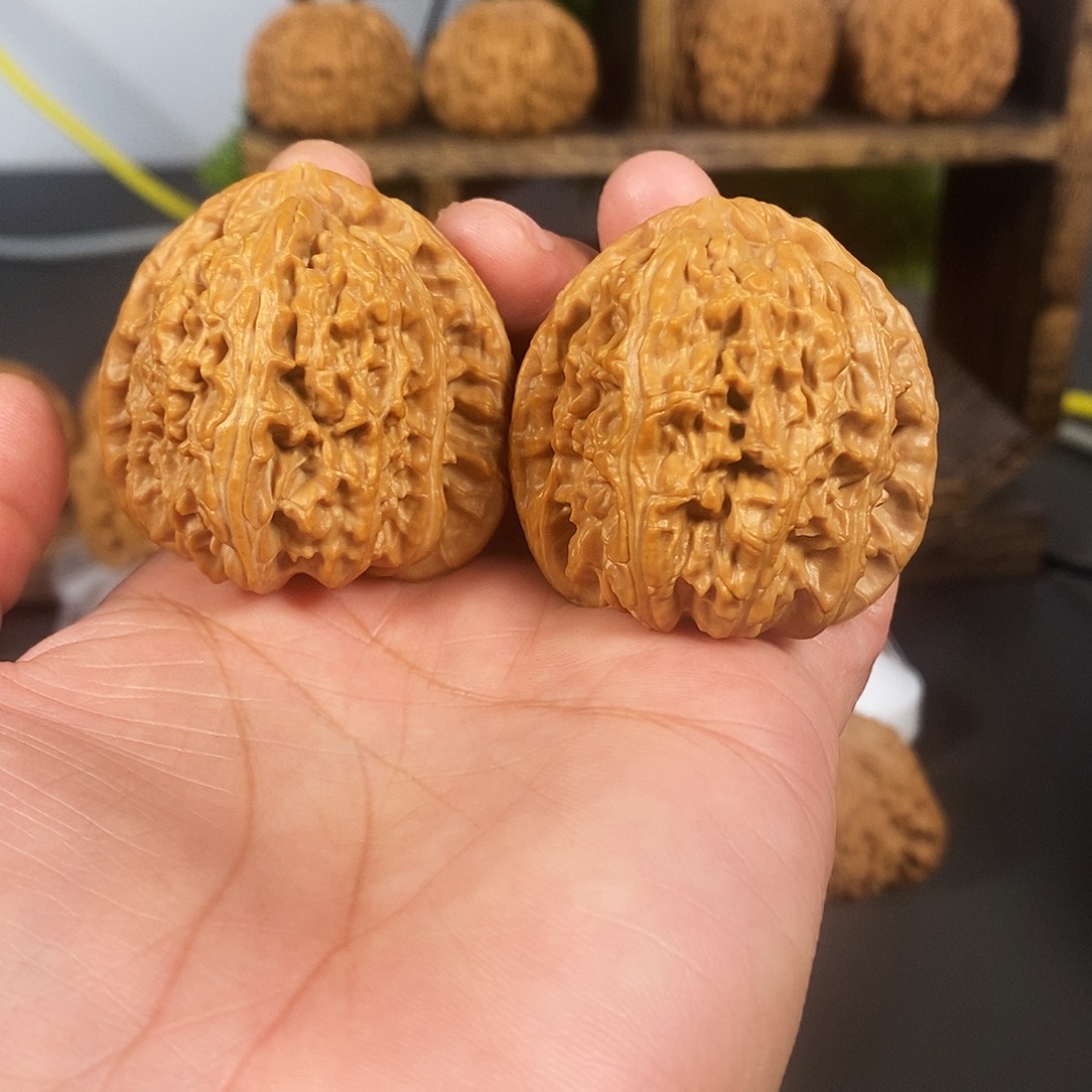 文玩核桃把件红色老树白狮子骨质好