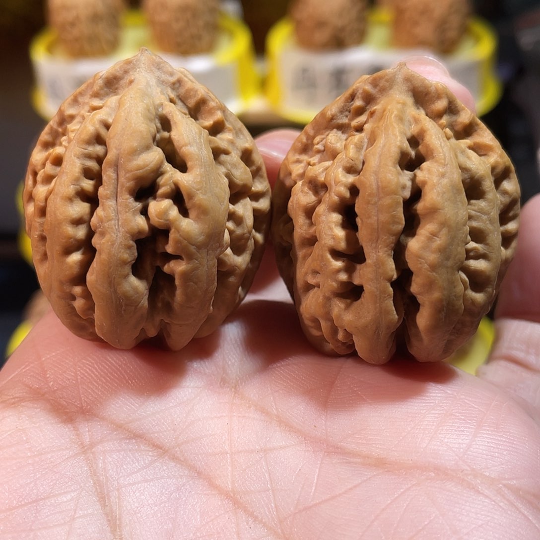 文玩核桃吊坠霸王龙