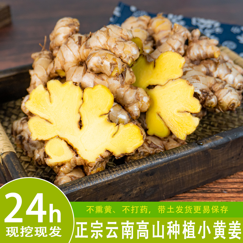 云南高山新鲜现挖小黄姜整姜无硫磺健康调味蔬菜果蔬YNYX