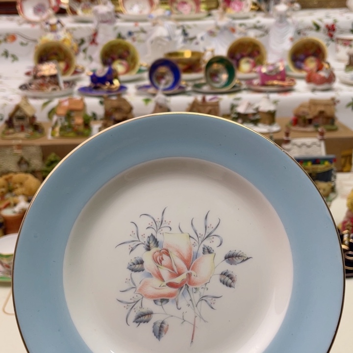 盘维多利亚欧洲中古