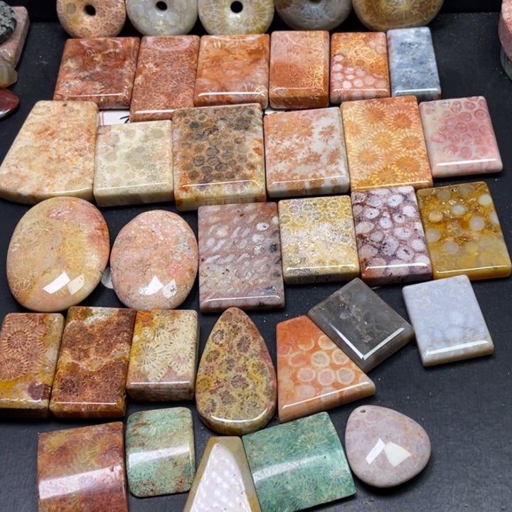 未镶嵌吊坠硅化珊瑚（珊瑚玉）