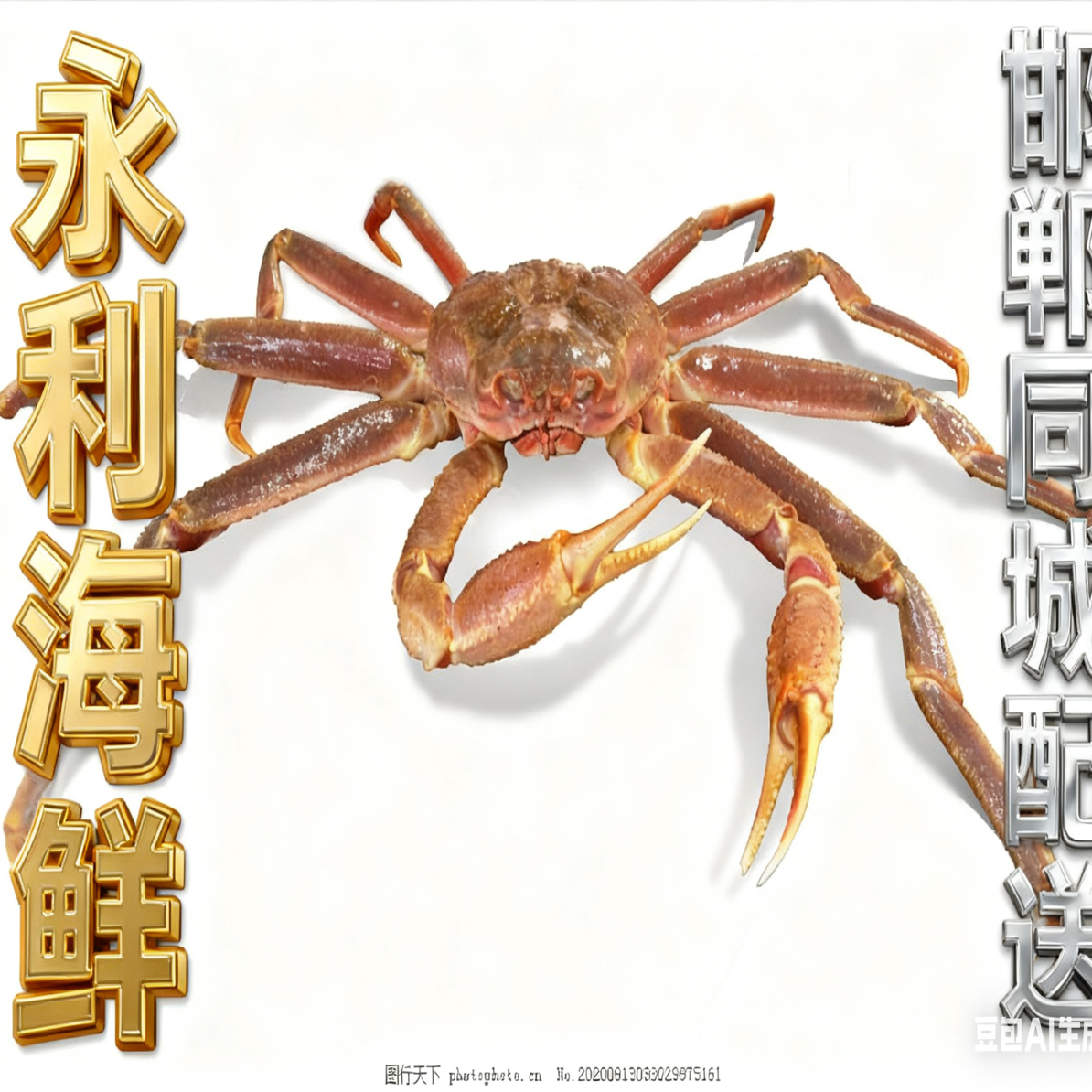 鲜活松叶蟹一只 