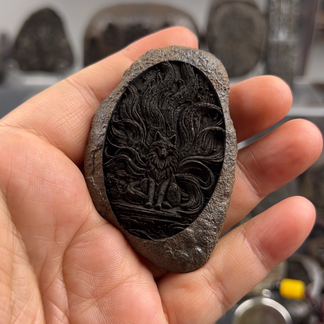 林***龙看看看看看看看看