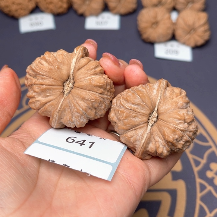 文玩核桃把件44南瓜墩 641