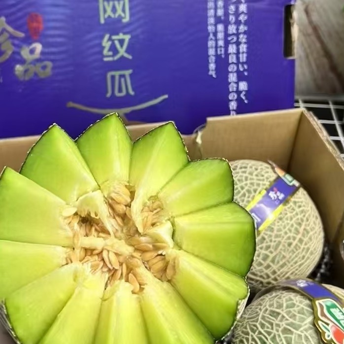 都知果哈密瓜网纹瓜