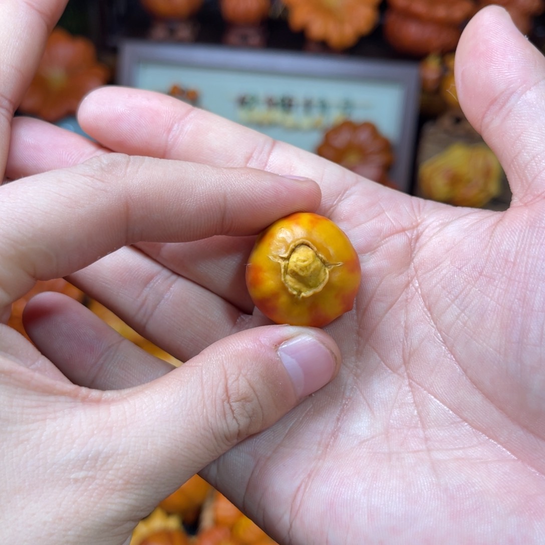 玉****爹哈喽哈喽厉害了葫芦厉害厉害厉害