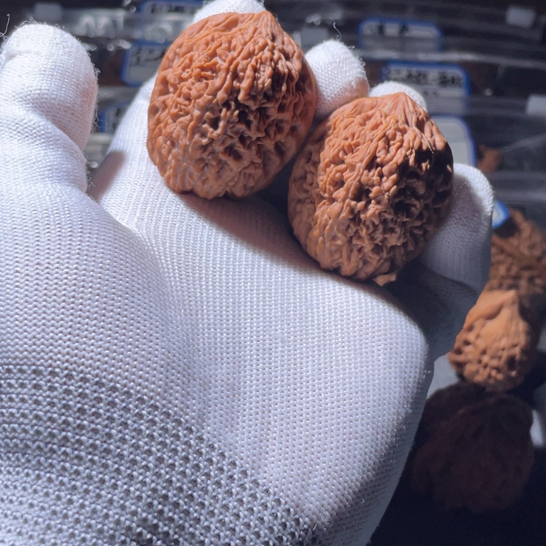 桃核吊坠39.5 全品大蒜头