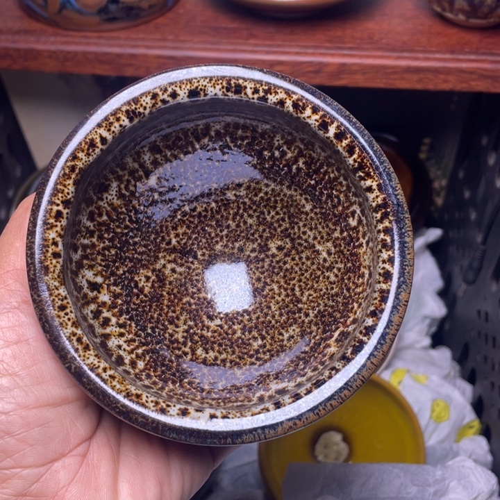 茶盏你说了你要来的嘛