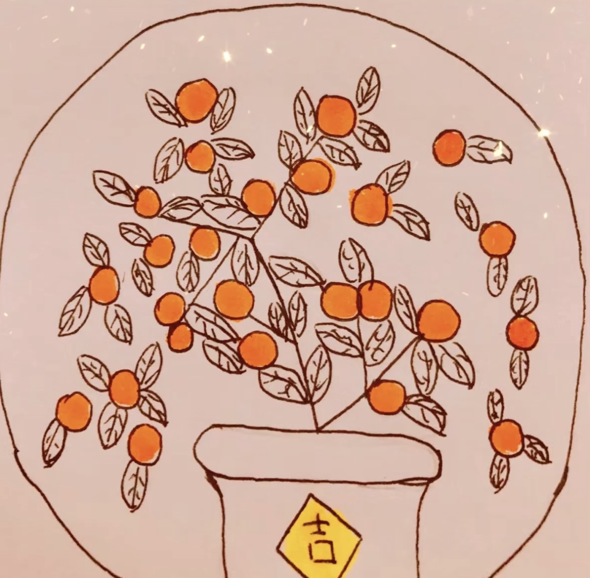 精品盆栽盆景 现场挑选 年宵花 四季豆