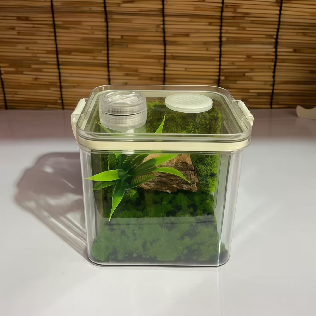 蝈蝈鸣虫透明亚克力生态盒 宽度95mm 高度100mm