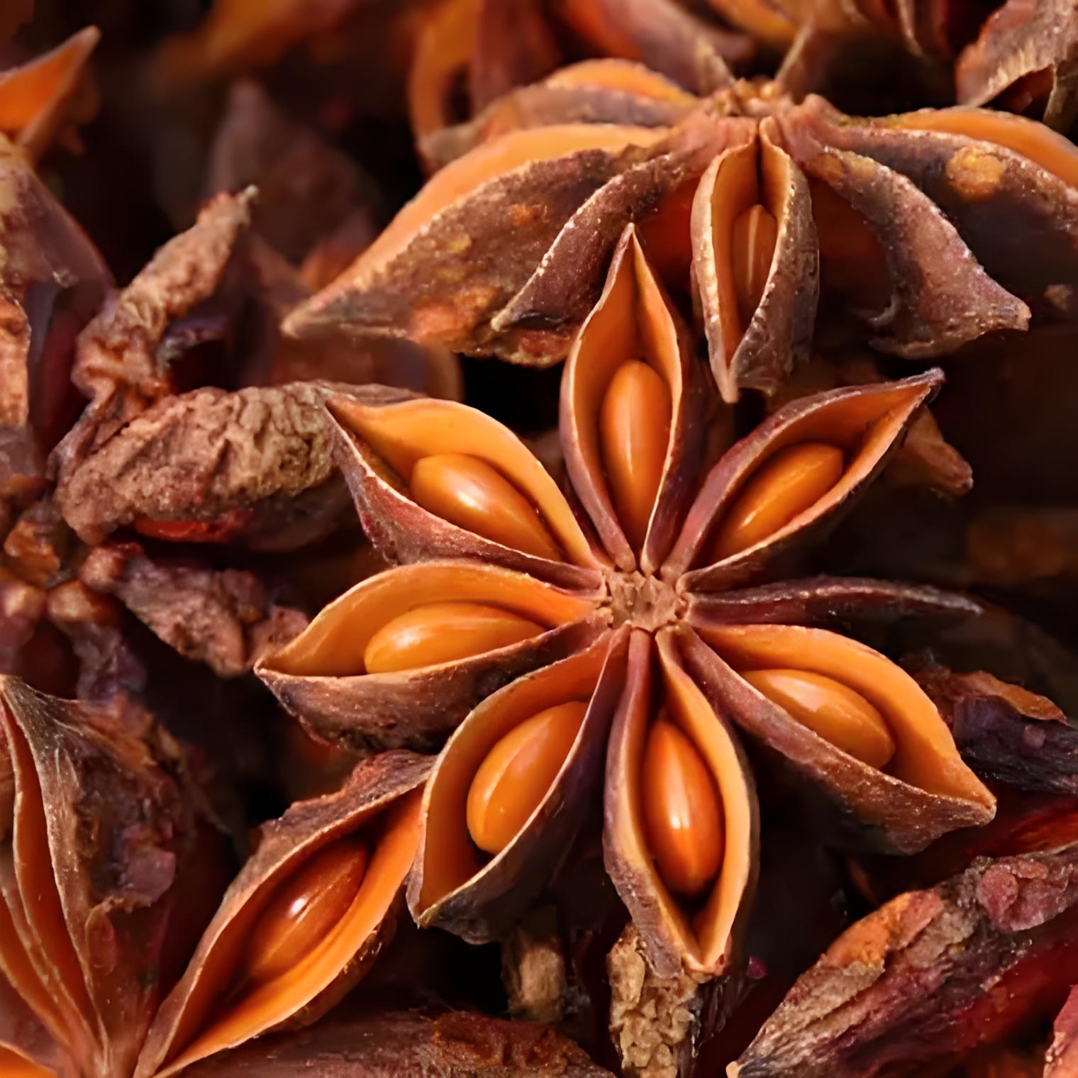 乡行者走乡村干八角大料干货家用五香调料去腥增香底料