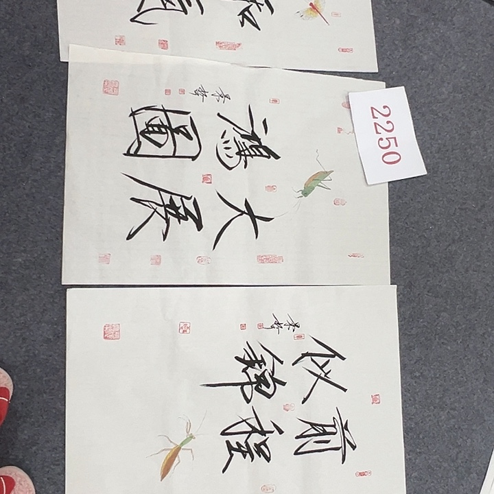 竖款云****6晚上好呀，惊喜连连