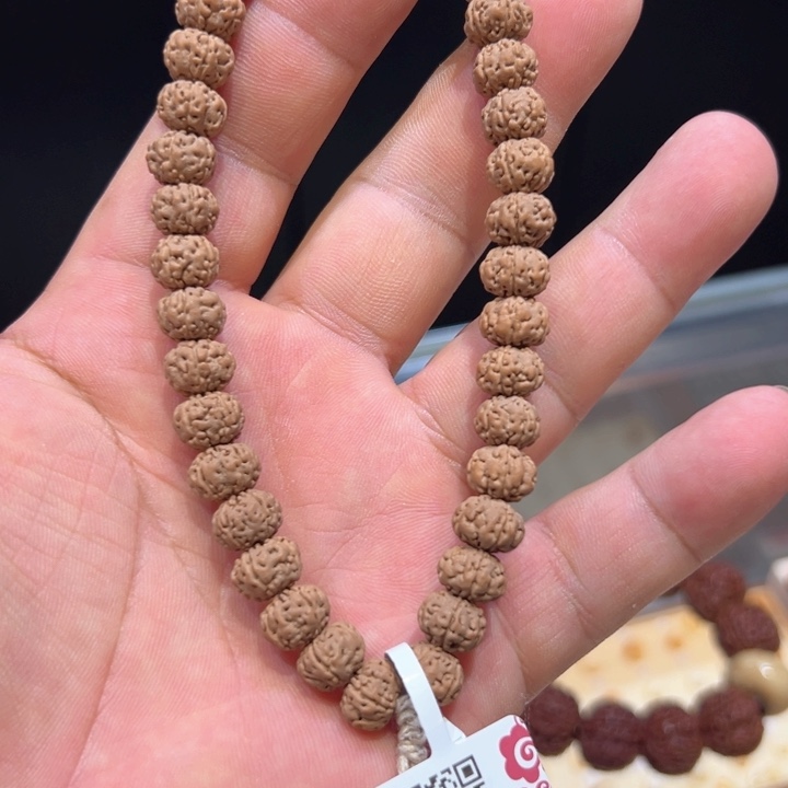 小金刚手持，老树王